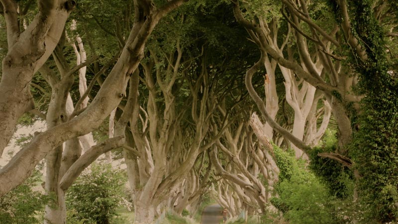 tunnels-naturels-irlande