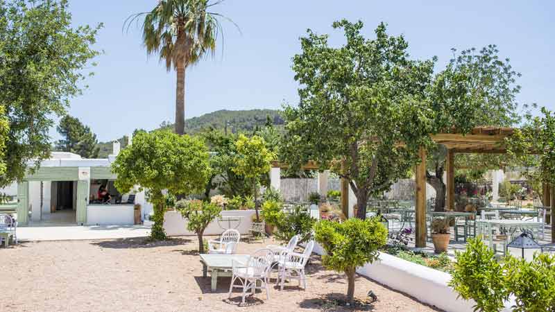 week-end-a-ibiza-aubergine