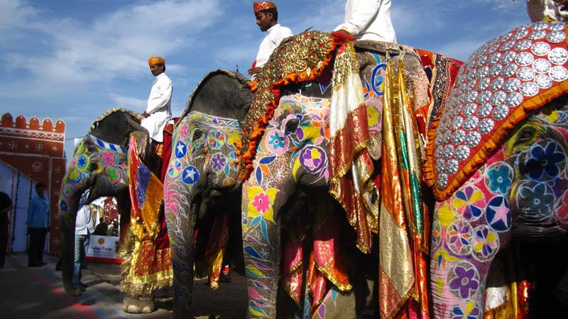 Jaipur Elephant Festival