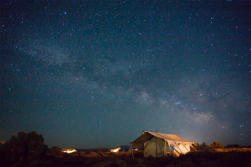 Safari Nocturne Afrique du Sud