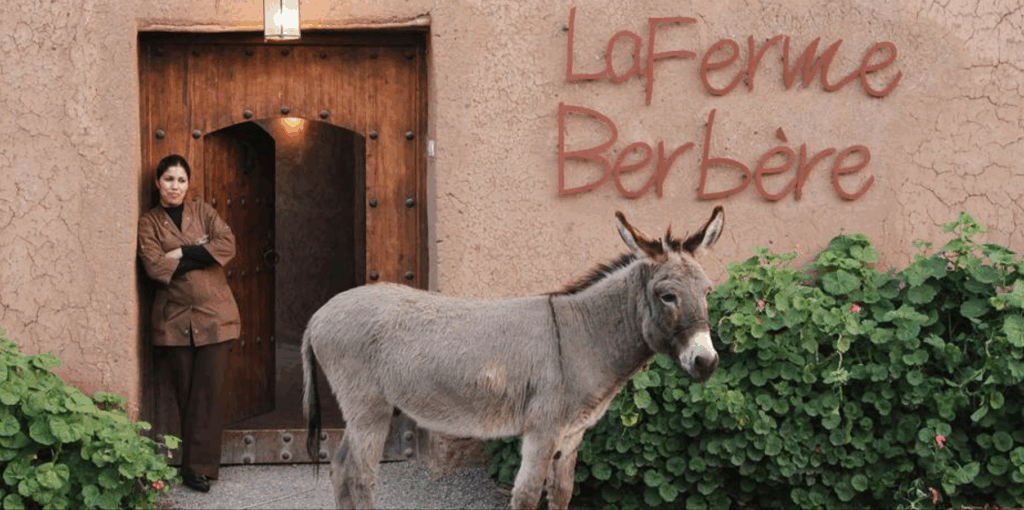 La Ferme Berbère