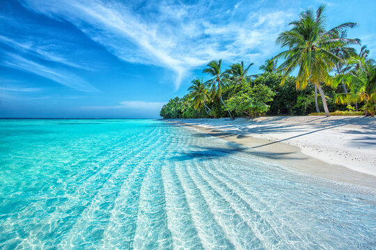 Paysage Maldives